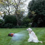 Navimow H206E - Kabelloser Mähroboter, bis 600 m² – Bild 3